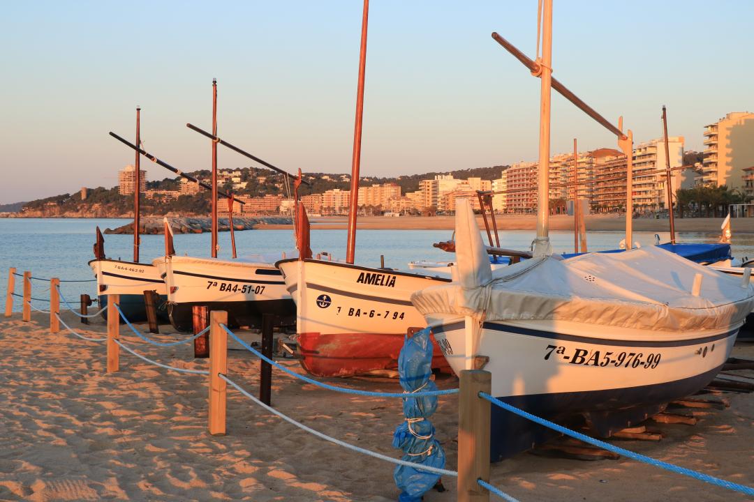 ems house inmobiliaria